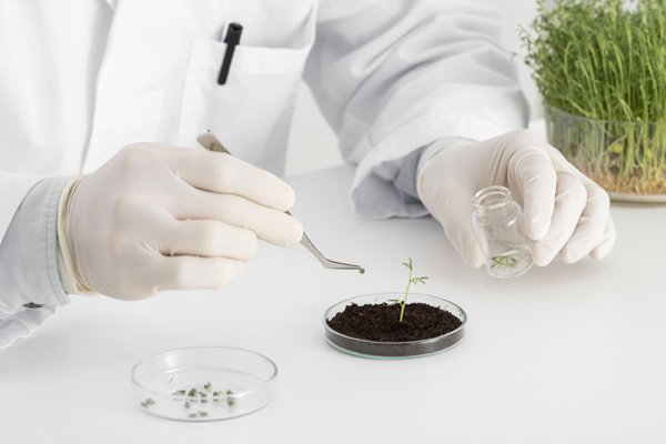 fertilizers fertilizers