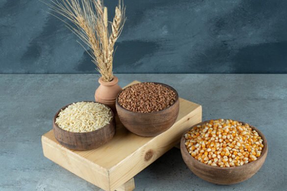 grains-oilseeds