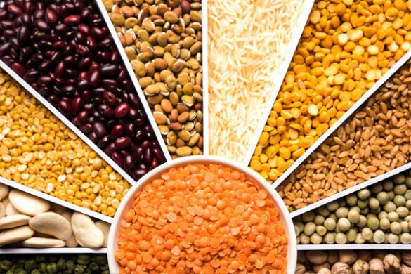 pulses-legumes