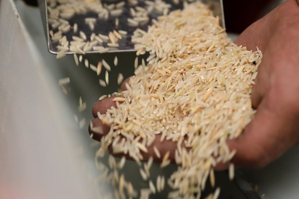 up-country-inspection-v1 up-country-inspection-v1